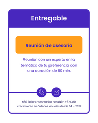 1 hora de consultoría en Ecommerce