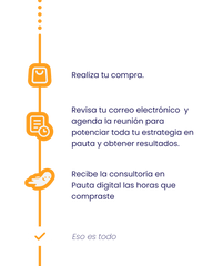 Consultorías en Pauta digital por horas