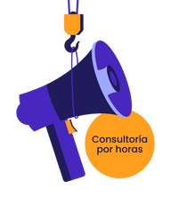 Consultorías en Pauta digital por horas